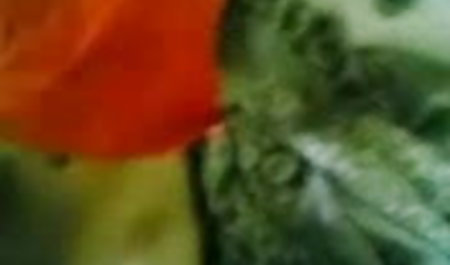 सुंदर 18 वर्षीय श्यामला जेसी सेक्सी फिल्म फुल एचडी सेक्सी फिल्म फुल एचडी जॉर्डन