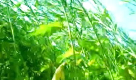 लड़की कुशलता से एक आदमी को गहरे गले में एक blowjob के साथ छेड़खानी सेक्सी फुल मूवी वीडियो करती है