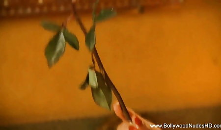 बोनी शटल बस के सेक्सी फिल्म फुल मूवी एचडी स्टार बन गए
